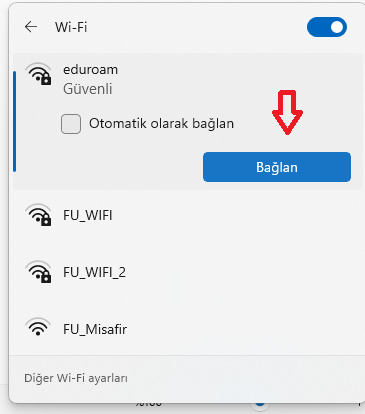 Windows