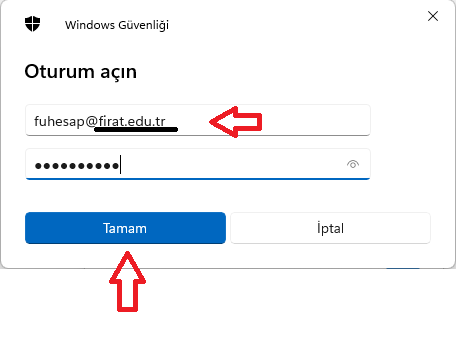 Windows 11