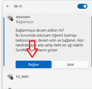 Windows 11